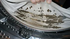 The Easiest Way to Remove Mold from Your Washing Machine: You Can Do It Every Day
