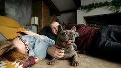 From Nose to Tail: How to Understand Your Dog’s Body Language