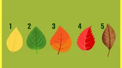 Personality Test: Choose a Leaf and Find Out Which Area You’ll Be Successful In