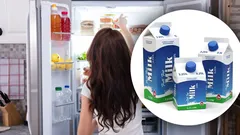 Only One Spot in the Fridge: Where to Move Milk So It Won’t Spoil