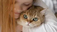 Love Cats? Psychologists Name Five Typical Personality Traits of These People